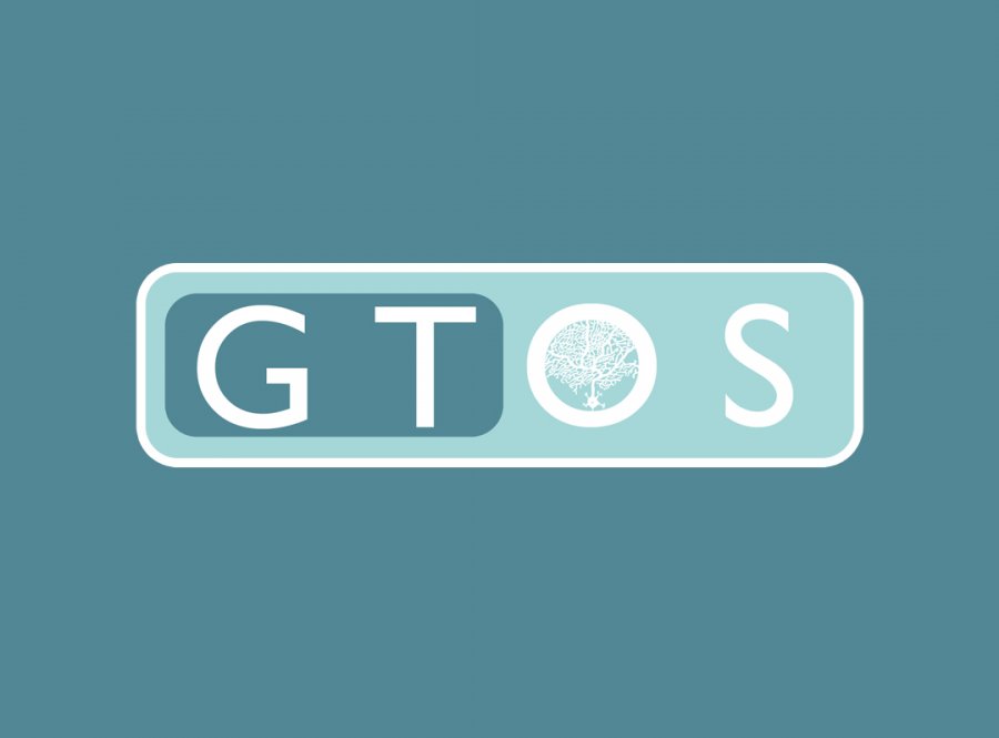 GTOS TERAPİ KURUMSAL